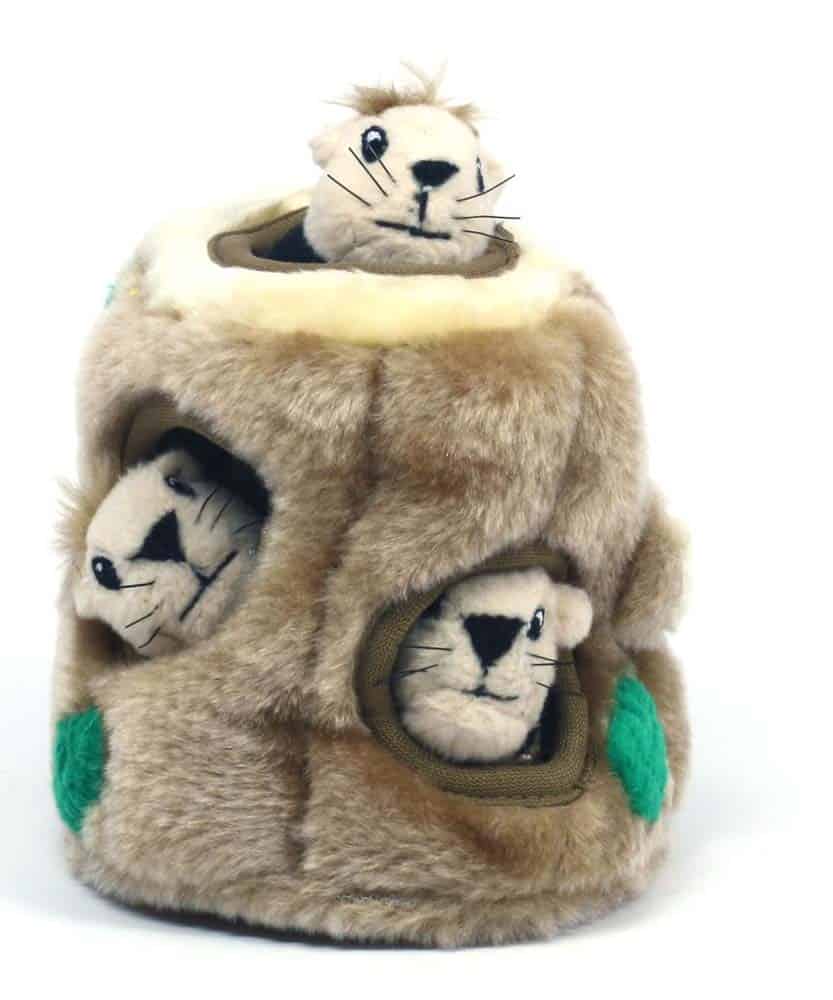 Outward Hound Hide A Squirrel Dog Toy Small