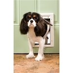 PetSafe Plastic Pet Doors Small