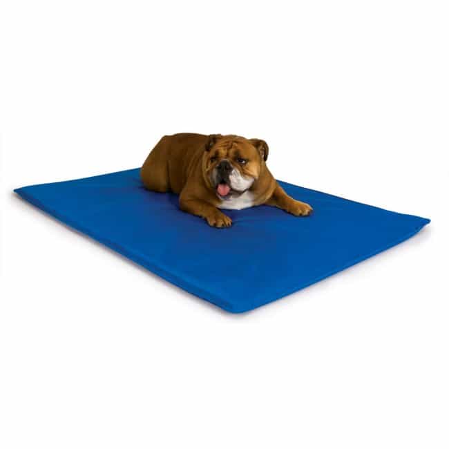 Cool Bed III® Cooling Mat for Dogs - Medium