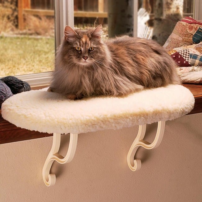 K&H Kitty Sill Orthopedic Window Perch