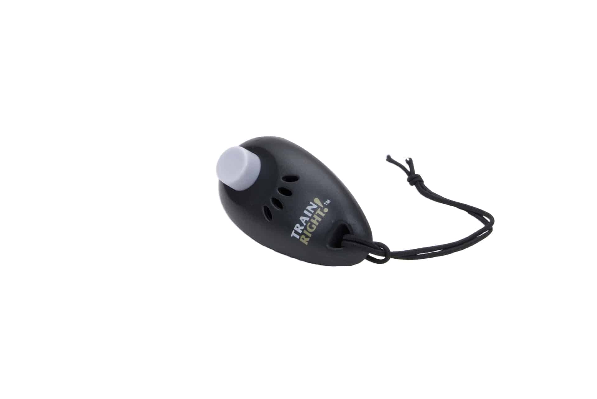 Control Ease Training Clicker