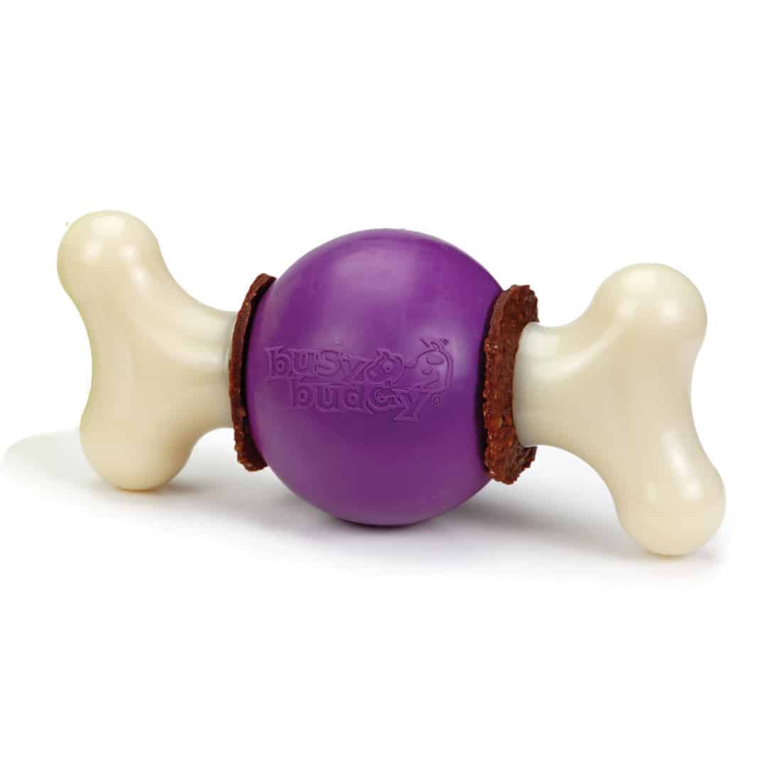 PetSafe Bouncy Bone Dog Enrichment Treat Toy LARGE
