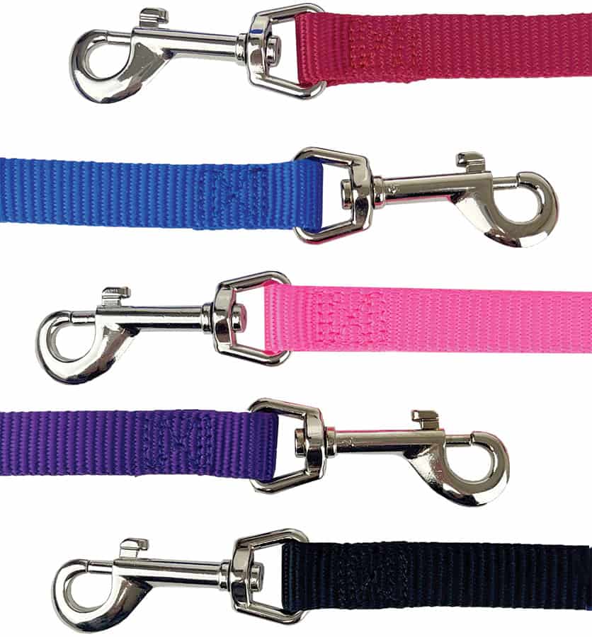 Classic Nylon Single Ply Leash 5/8" x 6'