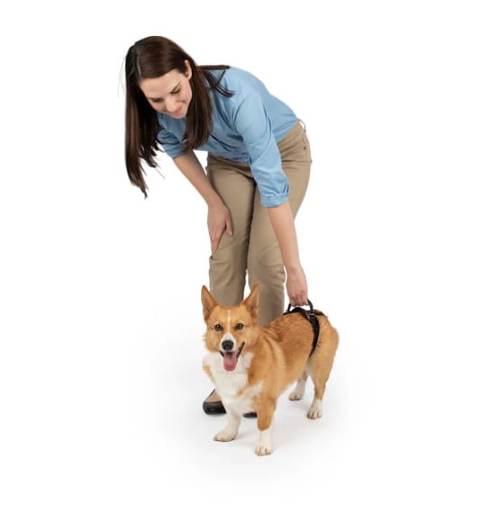 petsafe-carelift-harness