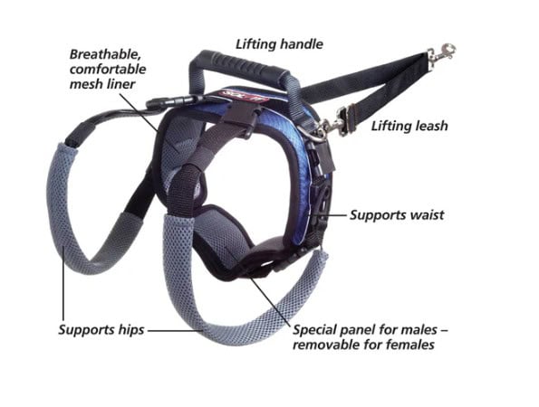 petsafe-carelift-harness