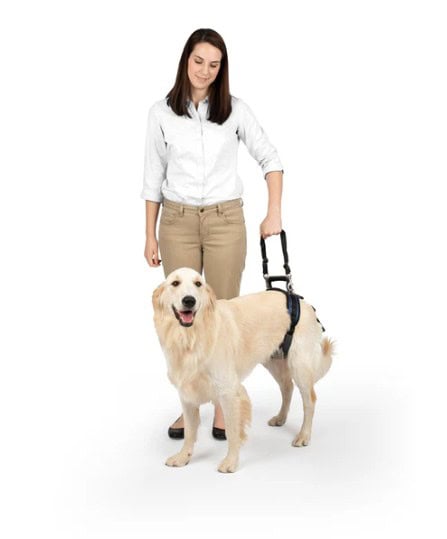 PetSafe CareLift® Lifting Harness Rear-Only Large