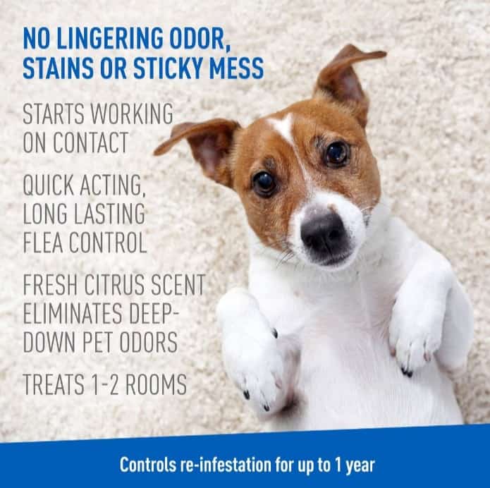 Adams Flea & Tick Carpet Powder 16 oz