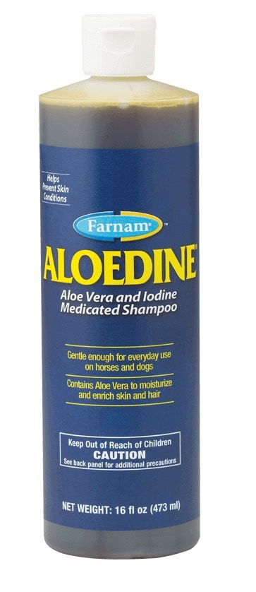 Aloedine® Aloe Vera and Iodine Medicated Shampoo 16 oz