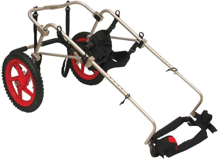 Best Friend Mobility Dog Wheelchair