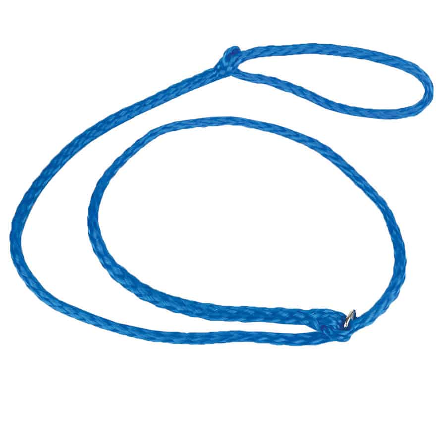 Economy Kennel Slip Lead 1/2" x 4'