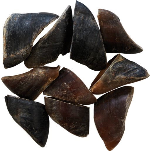 Chew Cow Hooves Dog Treat