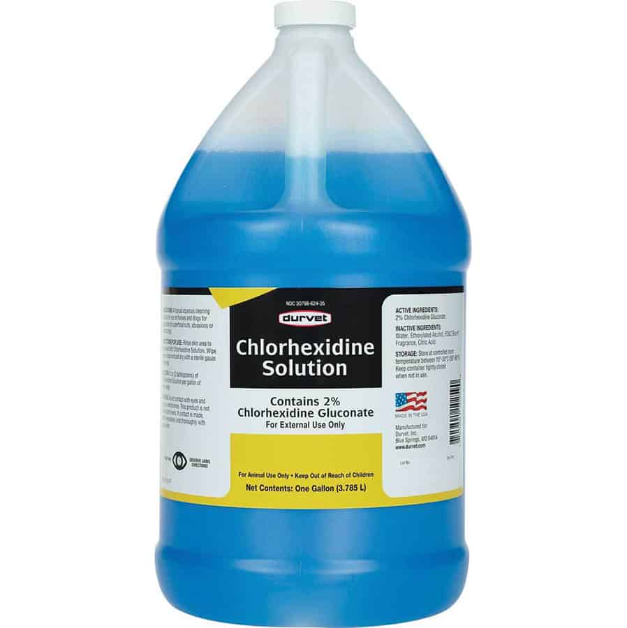 Chlorhexidine Solution 2% Chlorhexidine Gluconate Gallon