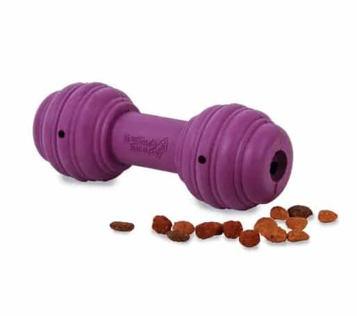 Treat Dispensing Chuckle Toy Bone for Dogs
