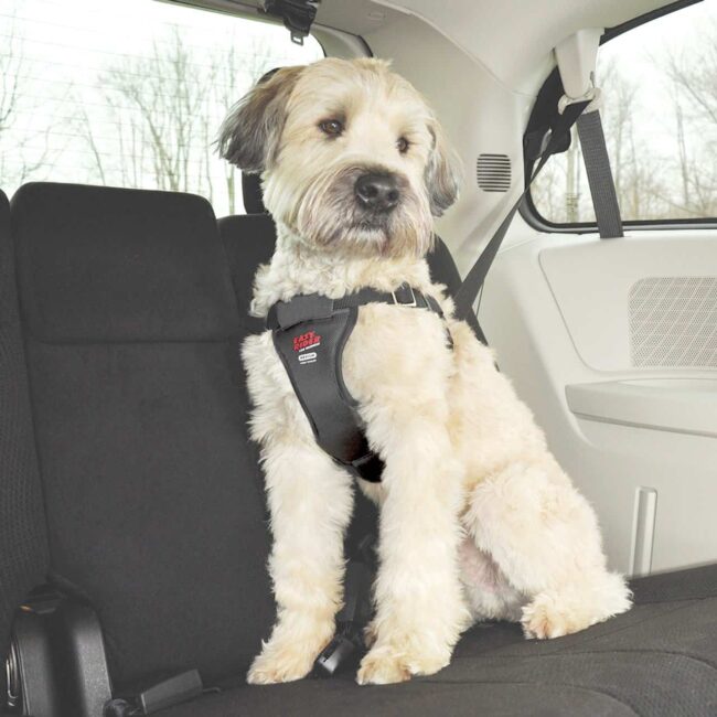 Easy Rider Car Harness for Dogs Medium