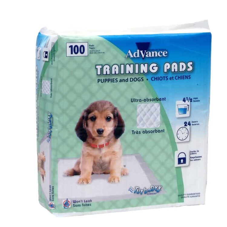 Coastal Advance Potty Training Pads 100 Ct
