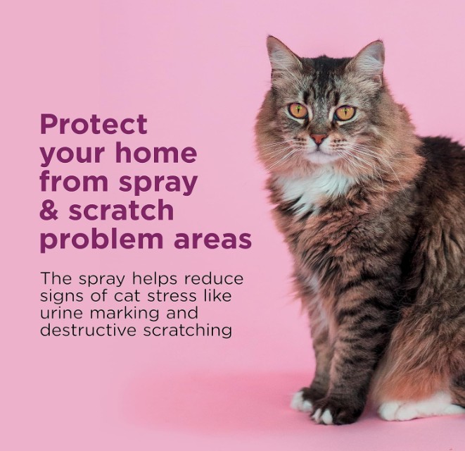 Comfort-Zone-Spray-INFO