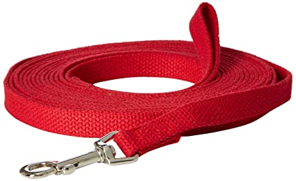 Cotton Web Training Lead 5/8" x 20'