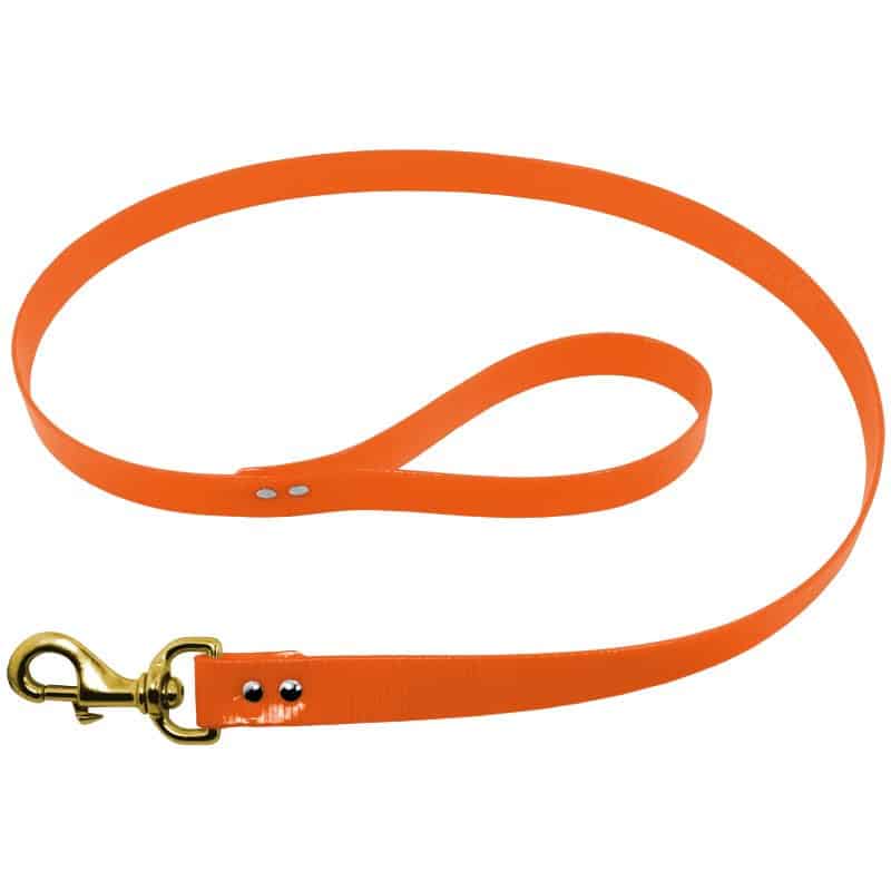 DayGlo® Reflective Dog Leash – 3/4" x 4'