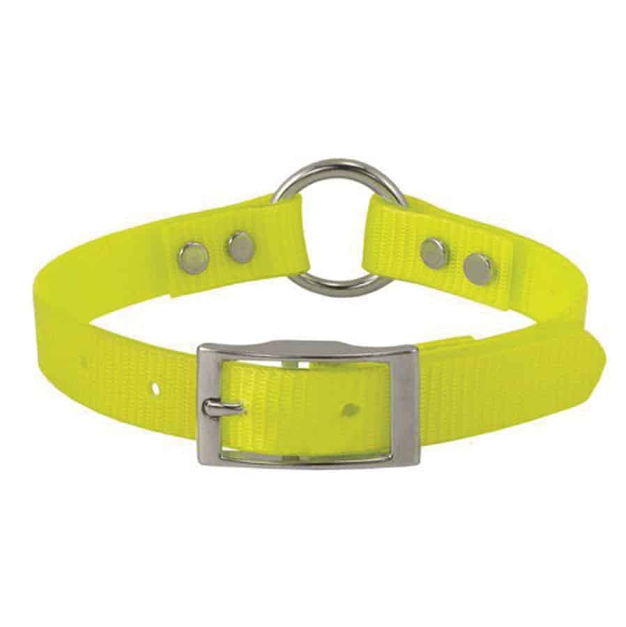 Day Glo® Coated Nylon Neon Dog Collar 3/4"