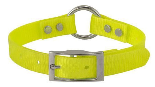 Day-Glow® Safety Dog Collar 1" – Neon Colors