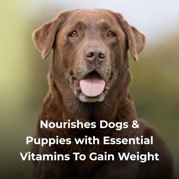 Dyne High Calorie Liquid for Dogs & Puppies 32 oz