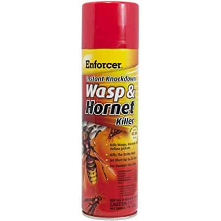 Enforcer Wasp and Hornet Killer 16 oz