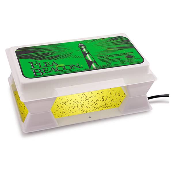 Flea Beacon Flea Trap