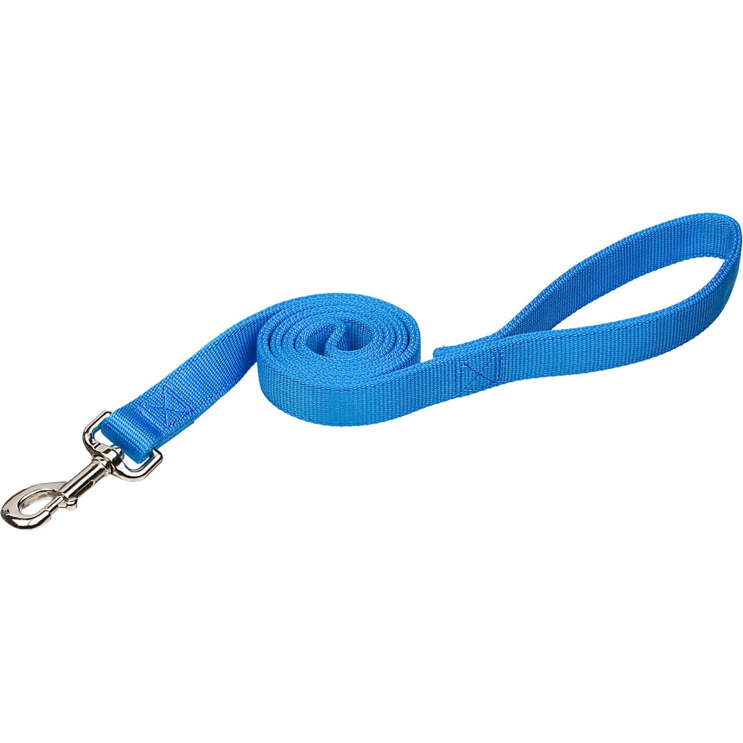 Coastal Nylon Dog Leash 1" x 4'