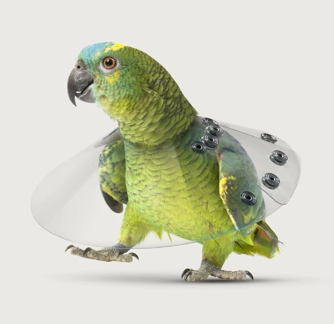 Saf-T-Shield E-Collar for Birds