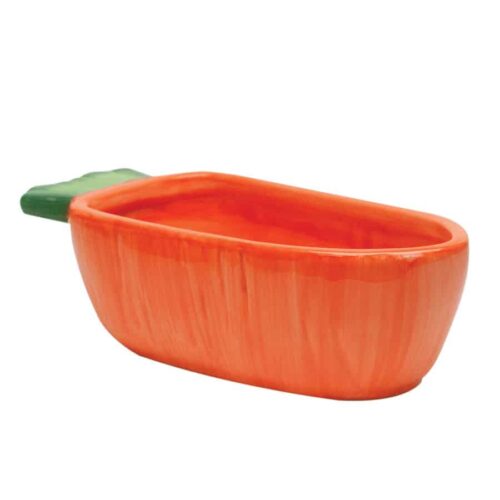 VEGE-T-BOWL Carrot Shape Food Dish