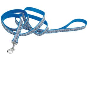 lazer-brite-leash-blue-bones