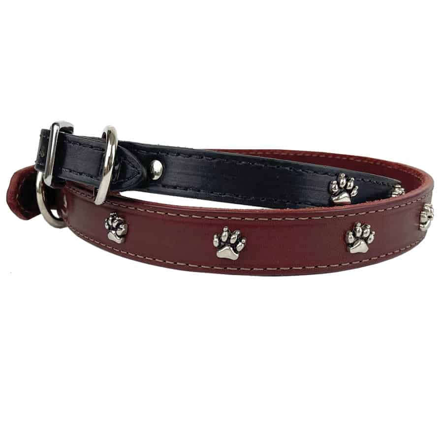 Omni Pet Leather Dog Collar with Paw Prints 1"