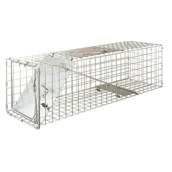 Little Giant® Single Door Live Animal Trap Small 24"