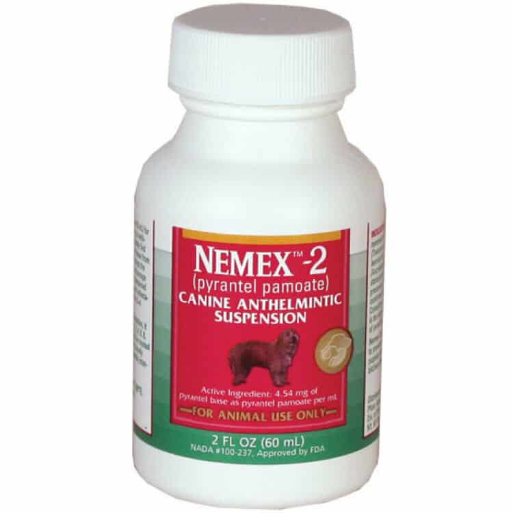 Nemex-2 Liquid Wormer for Dogs 2 oz