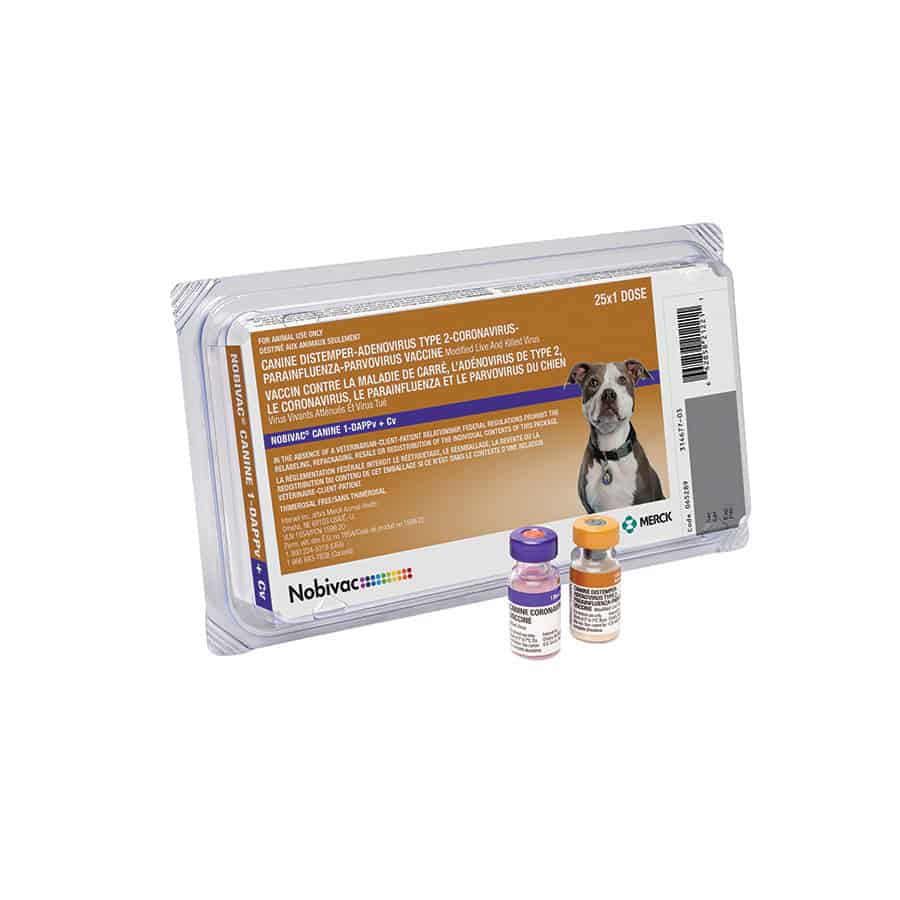 NOBIVAC Canine 1-DAPPV+CV Dog Vaccine 25x1 Dose
