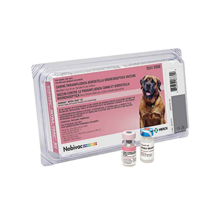 NOBIVAC INTRA-TRAC KC Kennel Cough Dog Vaccine 25x1 Dose