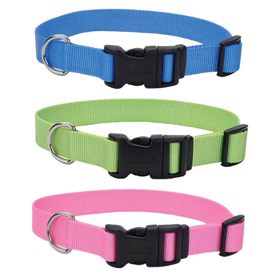 Coastal Adjustable Snap Buckle Nylon Dog Collar Small