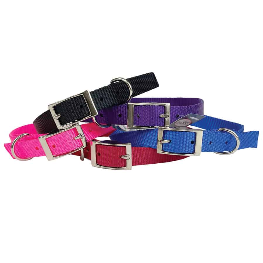 Omni-Pet 5/8" Nylon Dog Collar