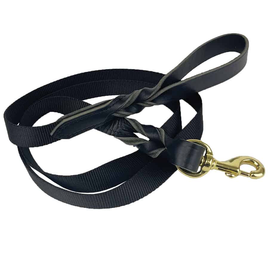 Nylon Leash with Twisted Leather Handle & Clasp 6'