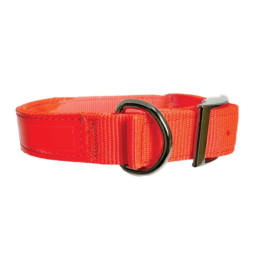 Nylon Dog Collar with Reflexite Reflective Strips