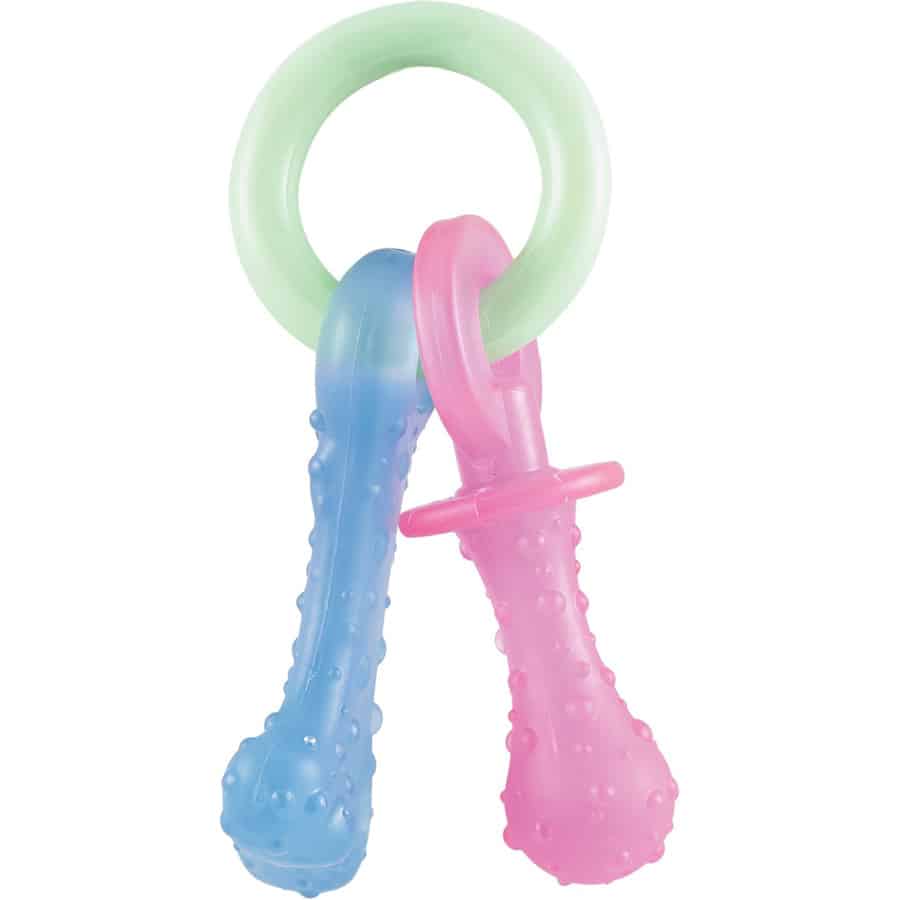 Nylabone Puppy Teething Pacifier Chew Toy