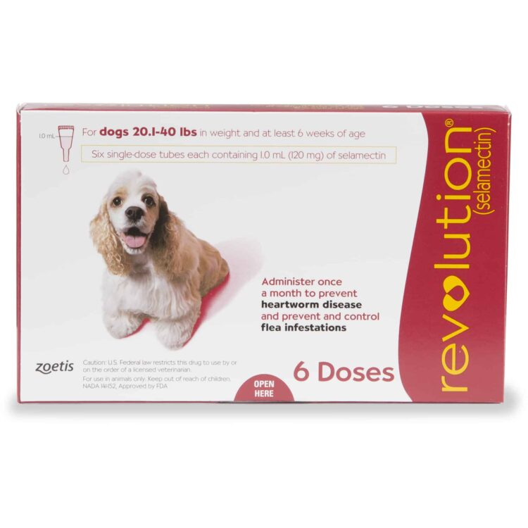 Revolution Topical Flea & Heartworm Protection for Dogs 21-40 lbs (6 pack)