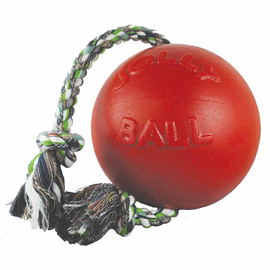 Jolly Pets ROMP-N-ROLL® Ball Dog Toy Large