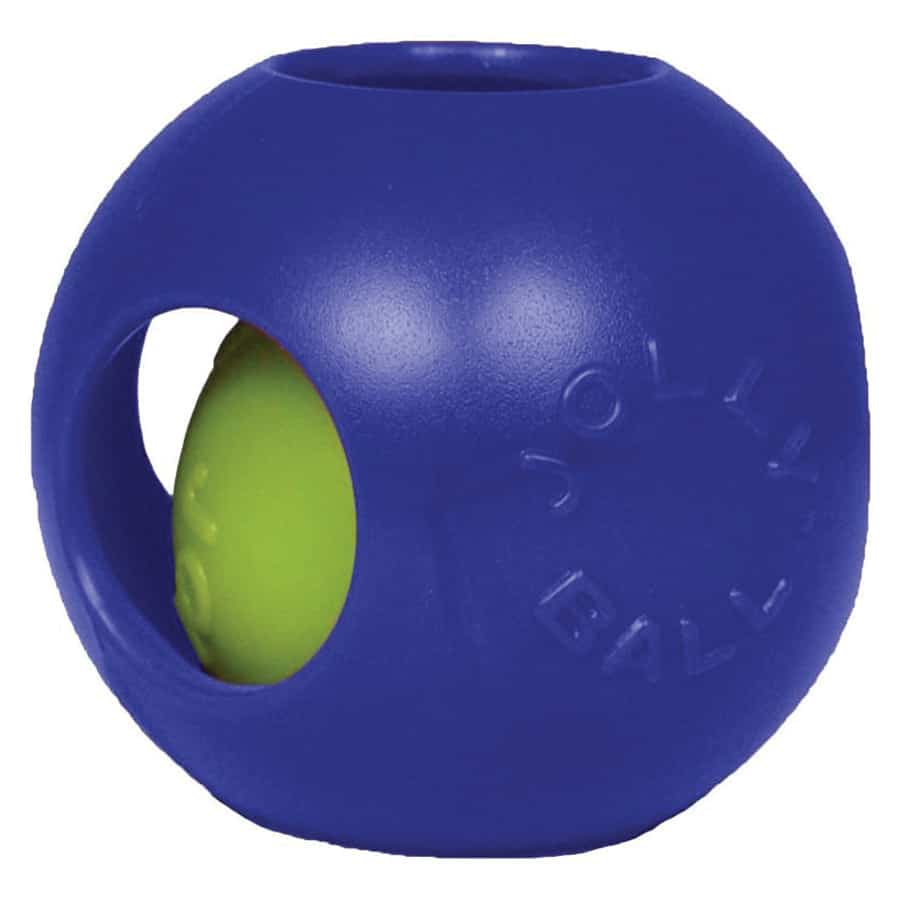 THE TEASER BALL® Dog Toy Large 10"