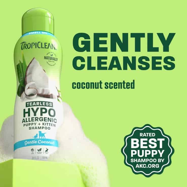 Tearless-Hypo-Shampoo-INFO