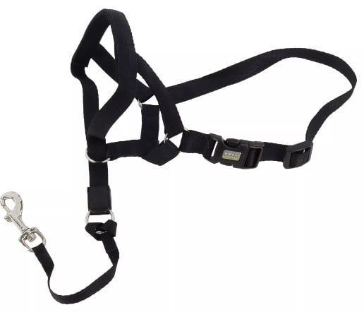 Walk N Train Head Halter for Dogs