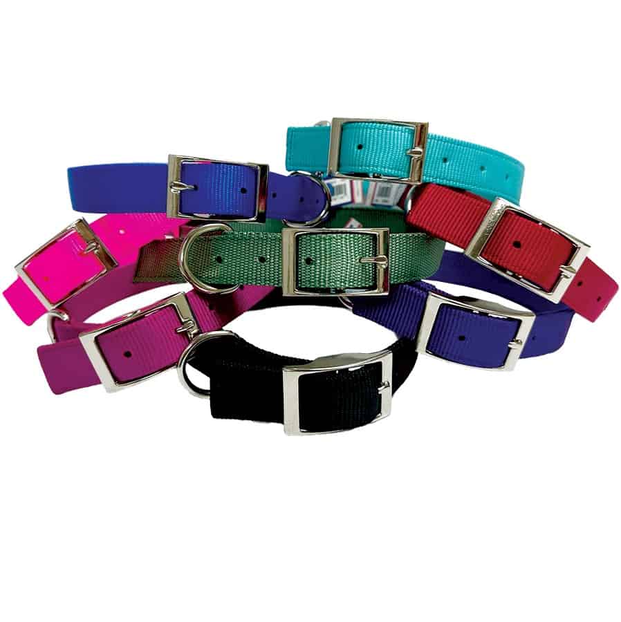 Double Layered Nylon Dog Collar 1"