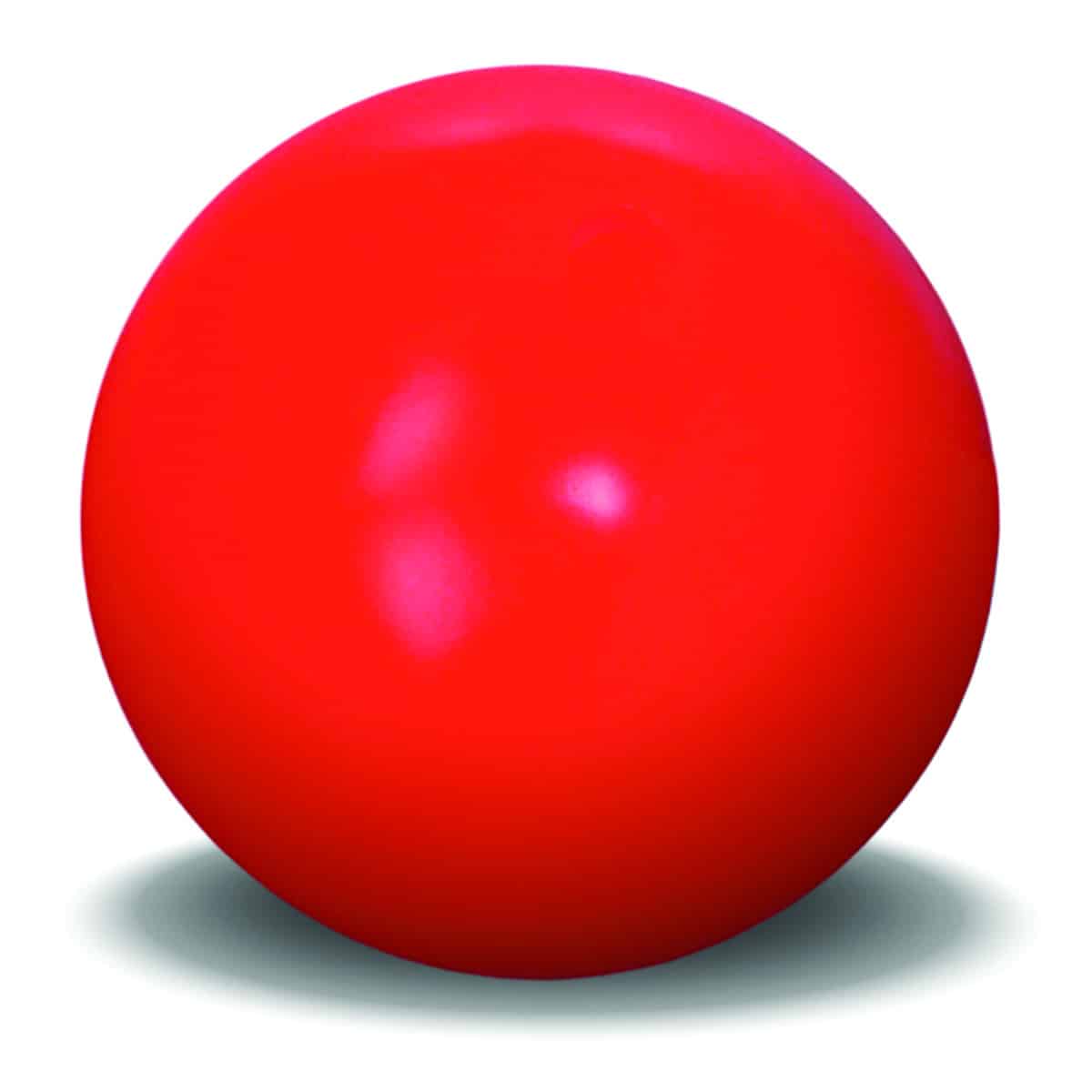 10"Exercise Ball - 2 1/2 lbs.
