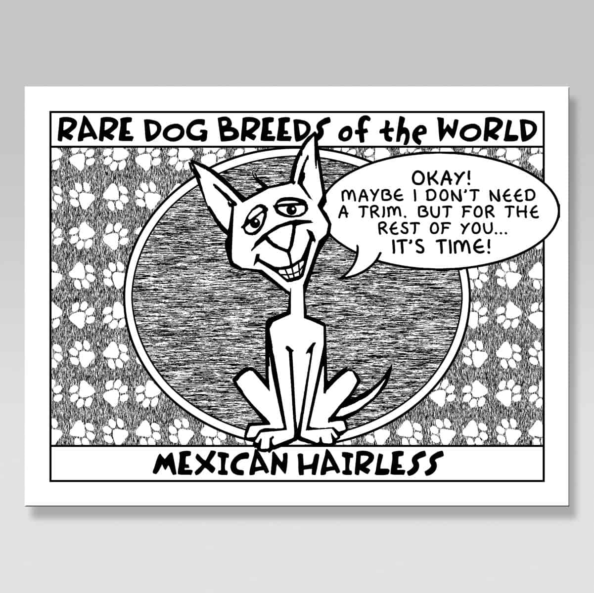 Grooming Reminder Cards - Package of 100- Rare Dog Mexican Hairless