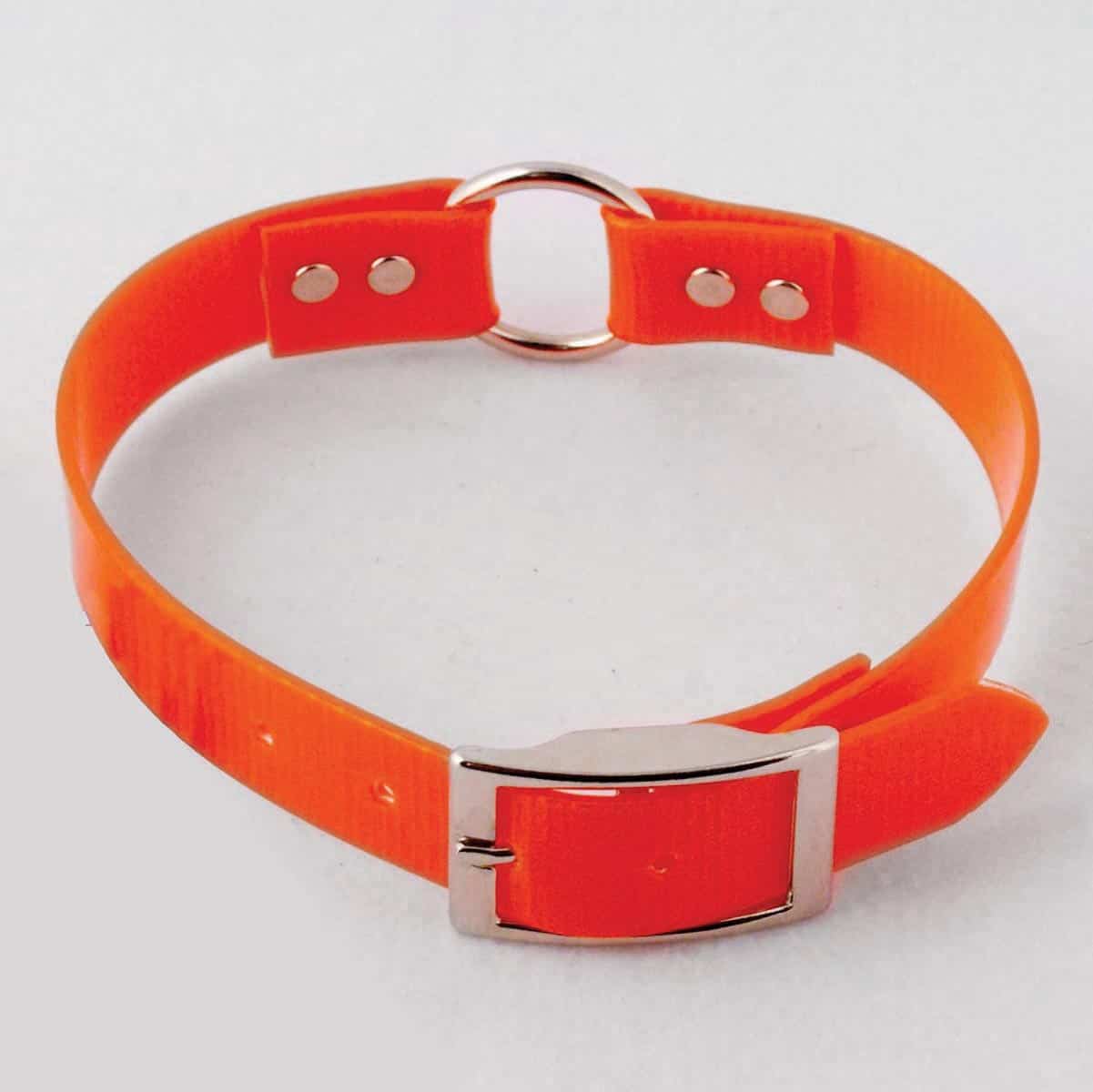 Day Glo® Coated Nylon Neon Dog Collar 3/4"